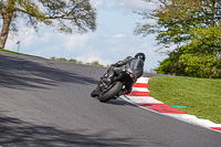 Middle Group Black Bikes